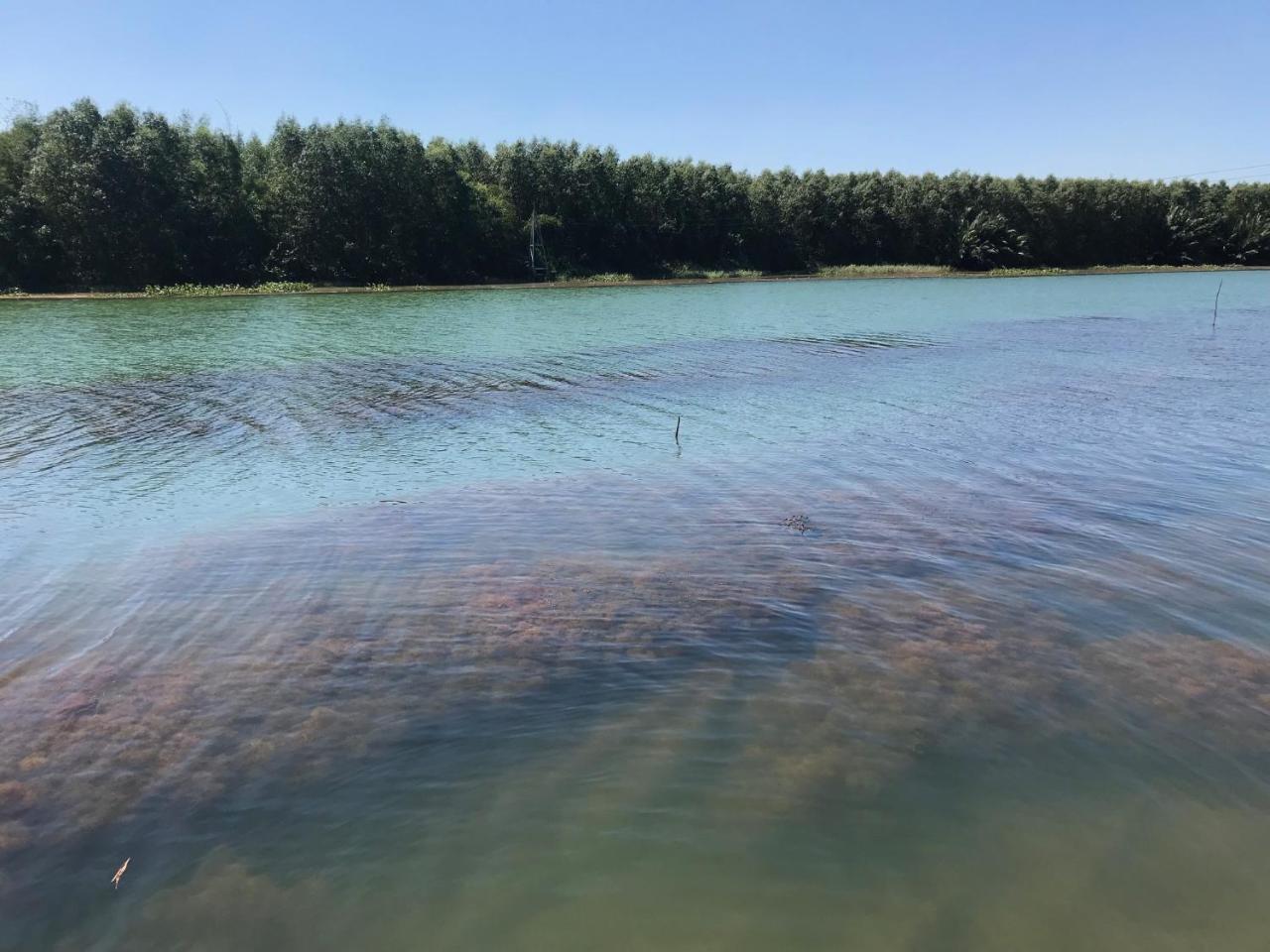 Chi-Bu Riverside Nhon Trach Екстер'єр фото